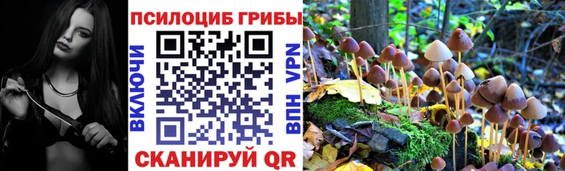 мега как войти  Горняк  Псилоцибиновые грибы Cubensis  как найти закладки 